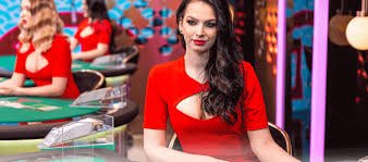 Dealer live casino profesional melayani taruhan langsung di winrate777